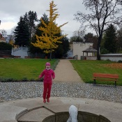 20201031_142340